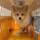 유엔평화로 이미지