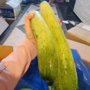 빛들농장 이미지