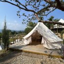 카페헬로 이미지