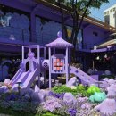 30주년 기념 성수 서울숲 포켓몬 메가페스타 후기 망했지만 즐거웠던 나들이