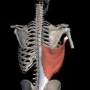 리온 휘트니스 이미지