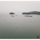대교농산 이미지