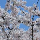 여행 영어(야간) 이미지