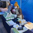 산야유정란 이미지