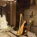 임플란트 시술하셔 이미지