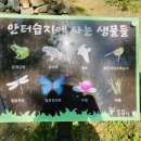 안터생태공원 이미지
