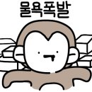 다보라