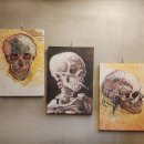 빈드럭스 이미지