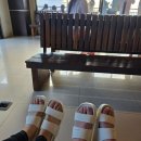 뉴발리노래연습장 | 발리신혼여행 1~2일차(7박9일)누사페니다투어-짐바란시푸드-룸비니풀빌라