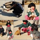 현암농장 이미지