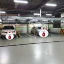 시지봄연합소아청소년과의원 이미지