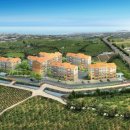 펠리시티2차 이미지