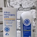 골드퍼피 이미지