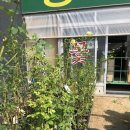 동수목장 이미지