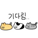 달마식당 네이버블로그