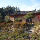 소나무쉼터 민박 이미지