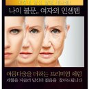 제나셀 이미지