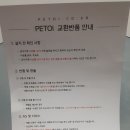 P003 | 페토이 자동급식기 HT-P003 내돈주고산 후기