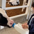 아름드리 목장 이미지