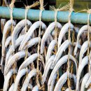 신바람난타 이미지