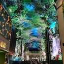 인스파이어 이미지