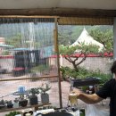 월오포레스트 이미지