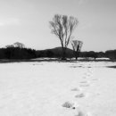 월평목장 이미지