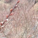 제천시민공원 이미지