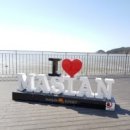 (신)바다이야기 이미지