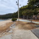 금장해수욕장 이미지