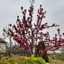 우리농원 이미지