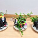 인천양촌초등학교 이미지