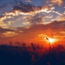 꿈과사랑 이미지