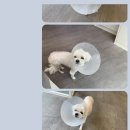 원러브동물의료센터 이미지