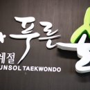 사계절 태권도 이미지