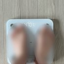 (주)정상 | 정상체중 마운자로 후기 2주만에 51->47kg, 부작용 구토 설사 빈혈
