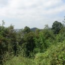 주공7단지 709동 앞, 덕성초등학교사거리 | 태봉(81.1m). 매봉(83.5m).광덕산(209m), 노적봉(143.3m)/경기안산