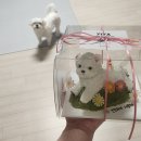 이야(YIYA) 이미지