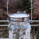 나무사이에 자연속으로 이미지