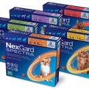 체이스약국 이미지