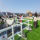 해피패밀리데이 이미지