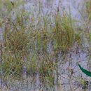 하늘지기 이미지