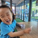 석수로 5-1 | 안양 아이랑 무료로 가볼 만한 곳, 안양생태이야기관 &amp; 안양그린마루 5살 아이와 다녀온 후기