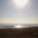 경포의하루 이미지