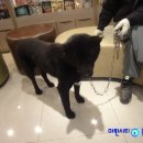 강산동물병원 이미지