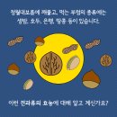 정월대보름 부럼의 효능 이미지