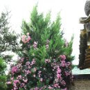 칠곡 지경당 이미지