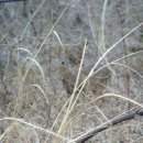 산머루펜션 이미지