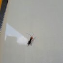 하늘주유소 이미지