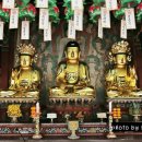 진주 청곡사 목조석가여래삼존좌상 이미지